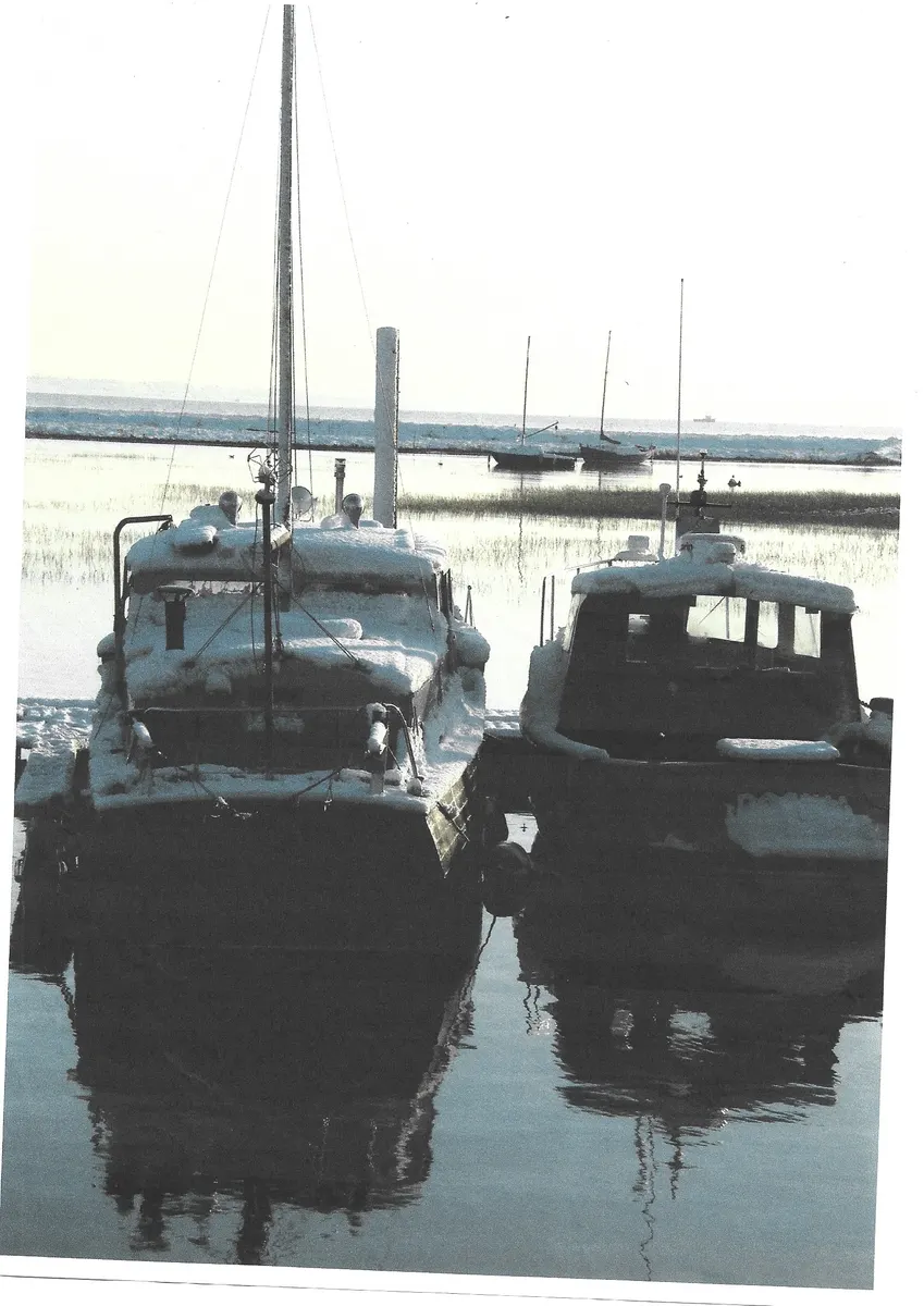 Gerfalcon gallery image 6